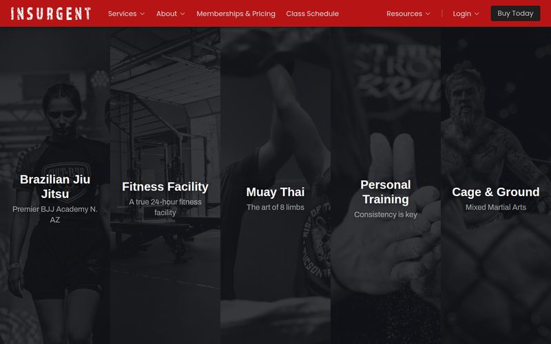 Screenshot of the Insurgent Fitness website