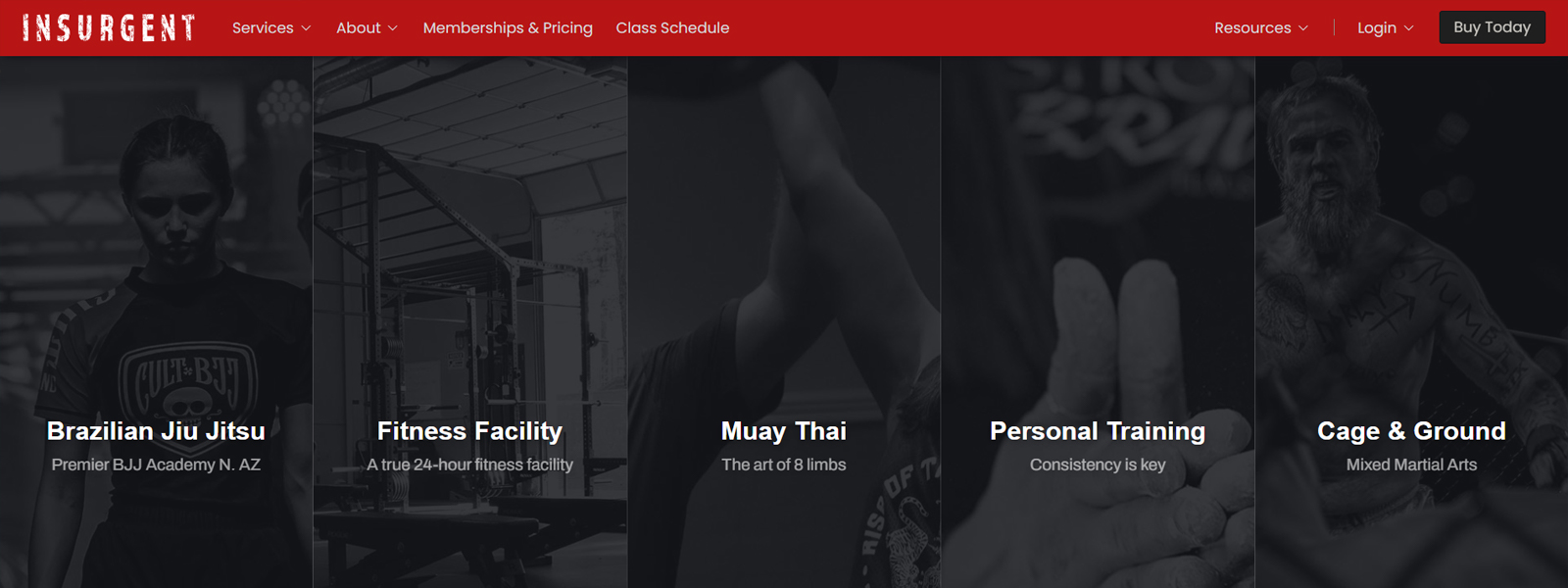 Screenshot of Insurgent Fitness website