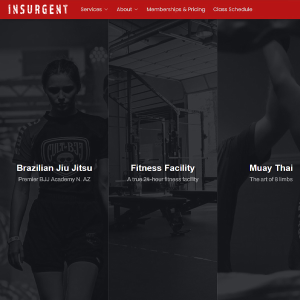 Insurgent Fitness Website Screenshot of home page